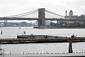 NY (423)